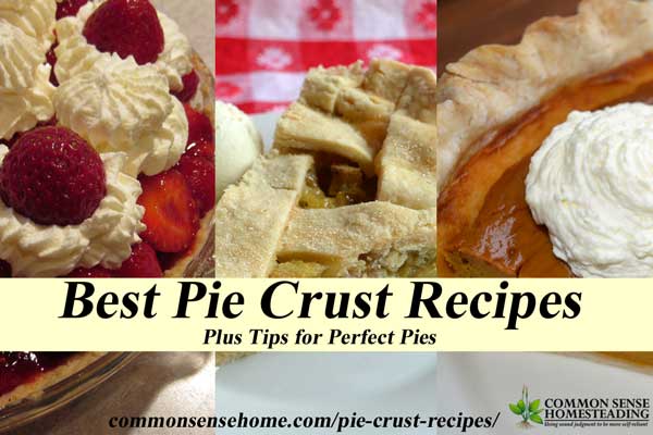 The best pie crust recipes start with the best ingredients, handled with care. Check out my favorite pie crust recipes, plus tips for a perfect crust.