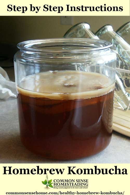 My first experience with homebrew kombucha - step by step kombucha brewing instructions, plus a quick explanation of some kombucha health benefits.