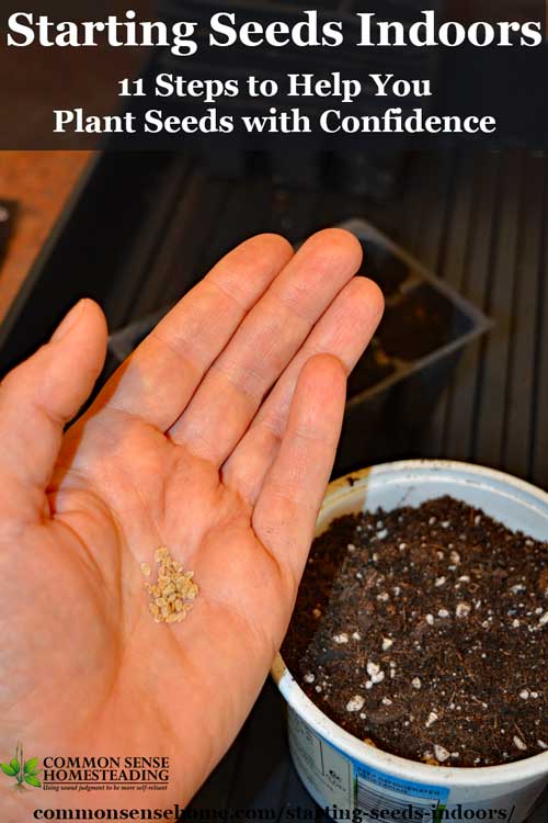 Starting seeds indoors is easy, as long as you follow a few basic steps when you plant your seeds and care for your seedlings.