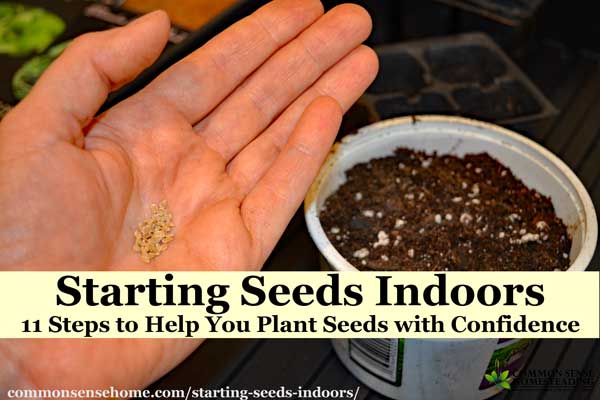 Starting seeds indoors is easy, as long as you follow a few basic steps when you plant your seeds and care for your seedlings.