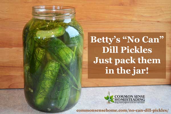 It doesn't get any easier than Betty's no can dill pickles. Just pack them in a jar, cover with brine, and in 3 days you have crunchy, delicious pickles.
