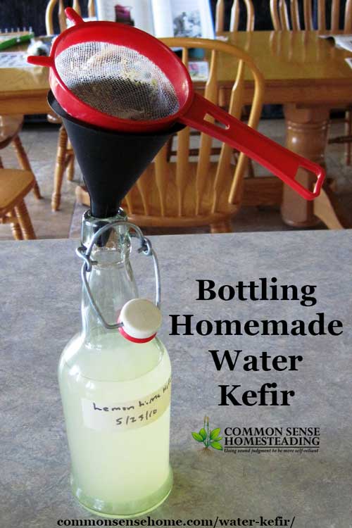 How to brew water kefir at home and make "water kefir soda" using a variety of fruit flavors. Brewing tips and answers to common questions.