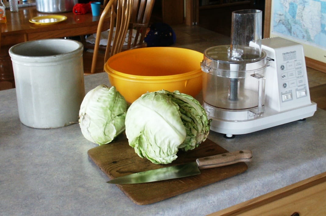 How to Make Sauerkraut Common Sense Homesteading