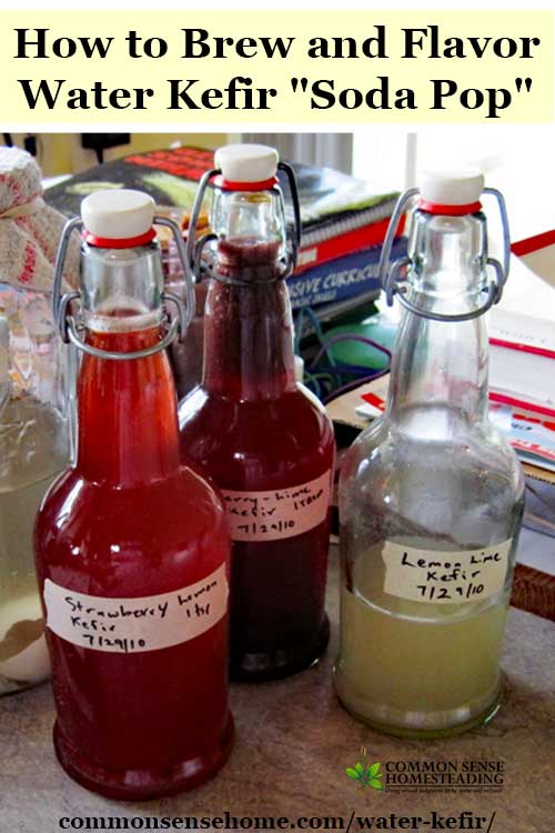 How to brew water kefir at home and make "water kefir soda" using a variety of fruit flavors. Brewing tips and answers to common questions. 