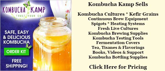 Order Fresh Live Kombucha and Water Kefir Cultures and Brewing Equipment