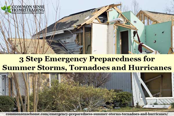 3 Step Emergency preparedness for summer storms. Plan ahead with food, water, sanitation, first aid, light/emergency radio, heat/cooking, and personal preps