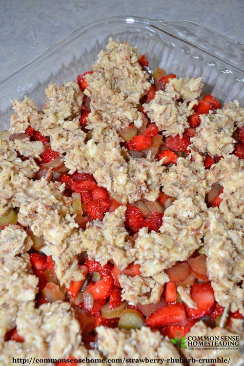 Strawberry Rhubarb Crumble - Enjoy this seasonal combination of fruits fresh or frozen. Goes together in minutes, gluten free, sweetened with honey.