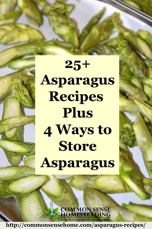 Over 25 creative asparagus recipes for soups, salads, sides and main dishes, plus 4 ways to store asparagus - freezing, drying, freeze drying and fermenting