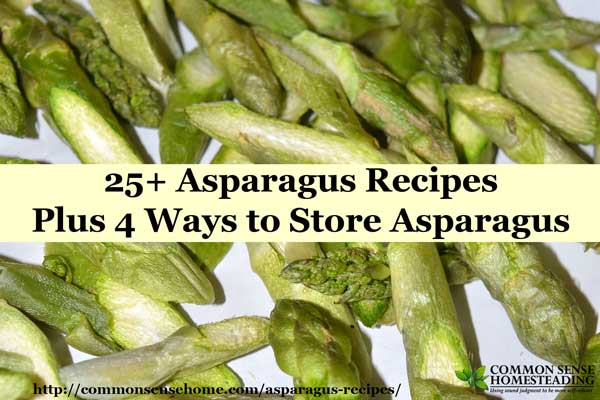 Over 25 creative asparagus recipes for soups, salads, sides and main dishes, plus 4 ways to store asparagus - freezing, drying, freeze drying and fermenting