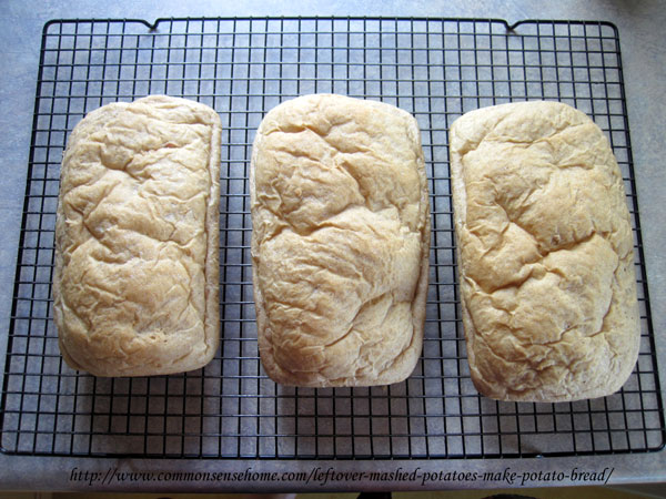 loaves of potato bread