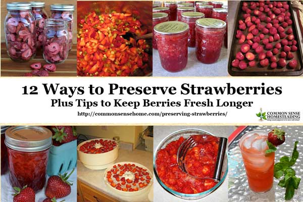 Preserving Strawberries 12 Ways Plus Tips To Keep Berries Fresh