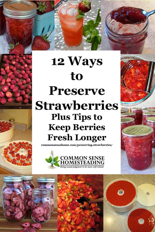 Tips for fresh strawberry storage, my favorite ways of preserving strawberries for long term storage, and some fun strawberry storage ideas from friends.