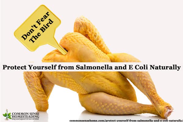 Protect Yourself from Salmonella and E Coli Naturally by building a strong immune system, practicing food safety and using herbs for treatment.