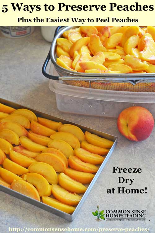 Preserve peaches to enjoy year round through canning, dehydrating, freezing, freeze drying or jam. Simple step-by-step instructions make it easy!