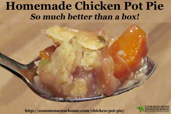 Homemade Chicken Pot Pie recipe with flaky, homemade crust, rich broth and plenty of meat and vegetables. Never buy a store pot pie again.