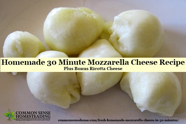 Homemade 30 Minute Mozzarella Cheese Recipe so easy the kids can do it, plus bonus ricotta and instructions for homemade string cheese.