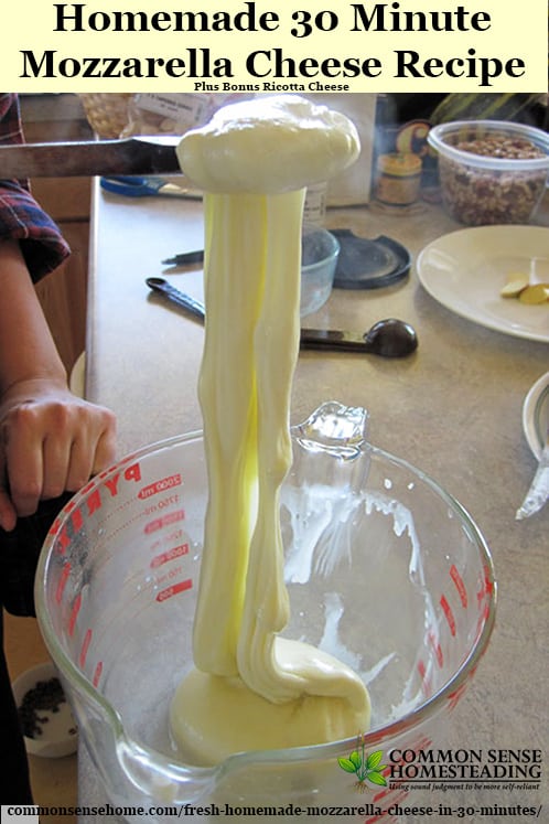 Homemade 30 Minute Mozzarella Cheese Recipe so easy the kids can do it, plus bonus ricotta and instructions for homemade string cheese.