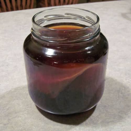How to Make Coffee Kombucha Common Sense Homesteading