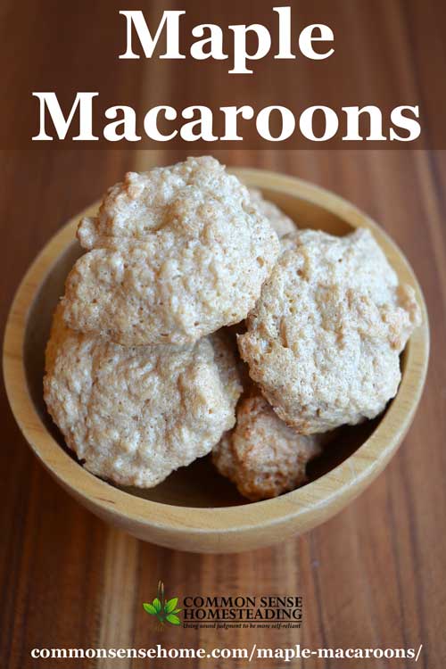 Maple macaroons are a light, crispy, easy to make cookie sweetened with real maple syrup. Gluten free, dairy free, and refined sugar free. 