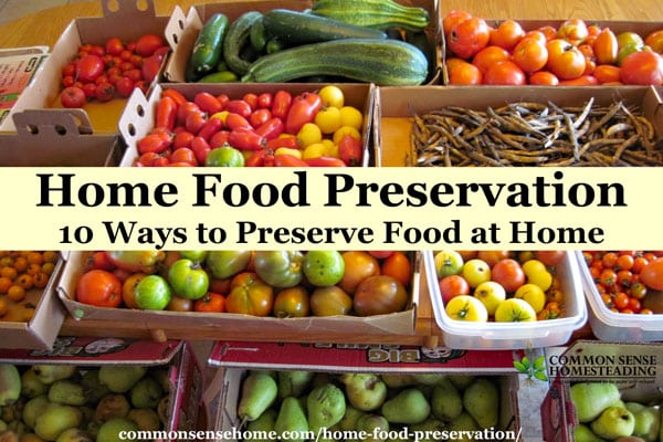 Comparison of home food preservation methods, including canning, freezing, freeze drying, dehydrating, root cellaring, lacto-fermentation and more.