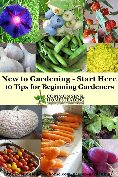 New to gardening? Check out these 10 tips to get you started without being overwhelmed, and get ready to grow your own vegetables, fruits and herbs.