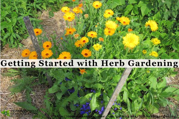 Herb gardening is a wonderful addition to any home or backyard. Learn the basics of adding herbs to your garden for food, medicine and just pure enjoyment.