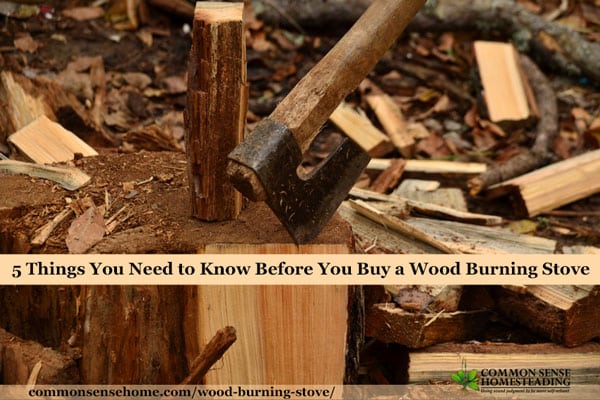 Before you buy a wood burning stove, know the facts about which wood to burn, wood storage, time and tools involved in wood heat for your home.