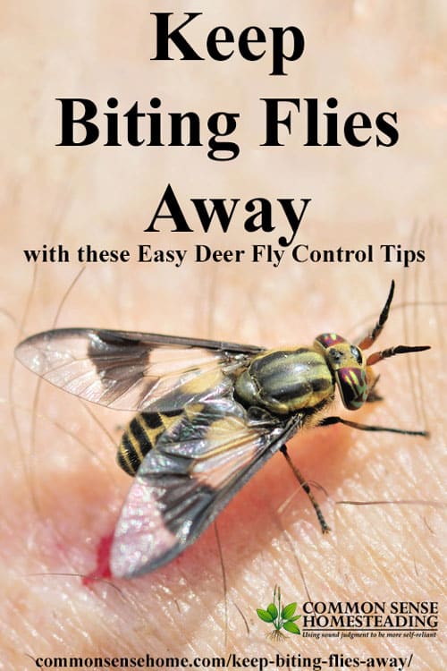 Keep biting flies away from your head with this simple Boy Scout trick, plus other deer fly control tips and deer fly deterrents for yard or campground.