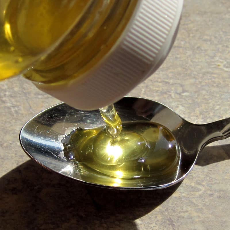 Honey as Medicine Prevent Infection, Kill Bacteria