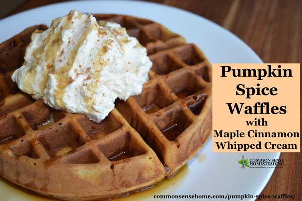 Pumpkin spice waffles pair up a favorite fall flavors, abundant pumpkin and rich whipped cream for an easy by memorable breakfast treat.