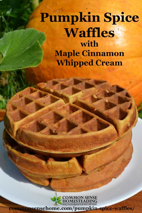 Pumpkin spice waffles pair up a favorite fall flavors, abundant pumpkin and rich whipped cream for an easy by memorable breakfast treat.