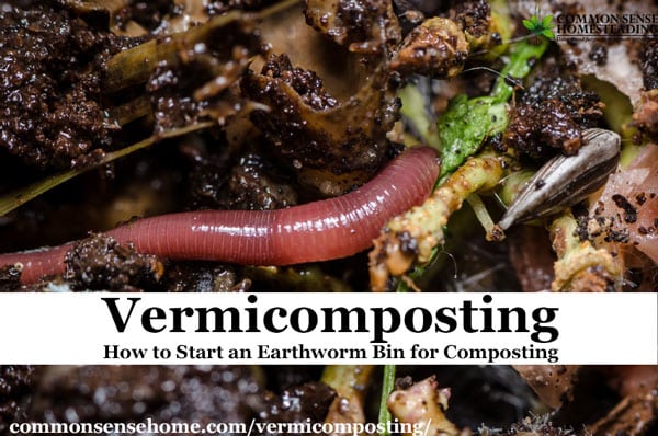 Vermicomposting (Worm Composting) - Which earthworm species work best for composting and how to keep them healthy and making great garden fertilizer.