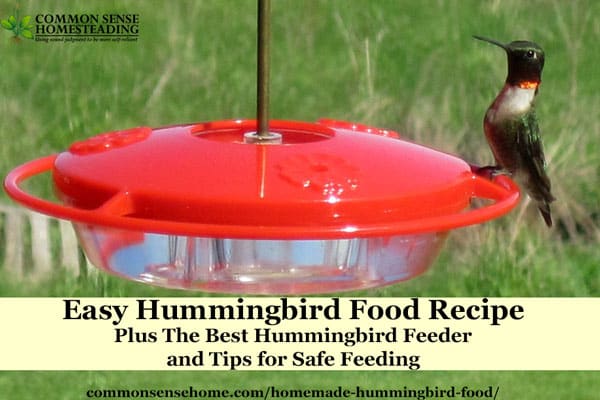 This homemade hummingbird food recipe is ready in minutes. Find out why I picked the Hummzinger hummingbird feeder, plus how to keep your hummers safe.