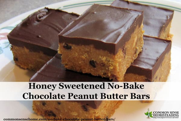 Honey Sweetened No-Bake Chocolate Peanut Butter Bars - Easy enough for the kids to make themselves for an any time treat.