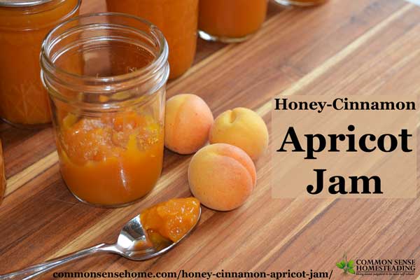 Honey-Cinnamon Apricot Jam is lightly sweetened with honey and flavored with a hint of cinnamon and citrus so you can taste the fruit, not the sugar.