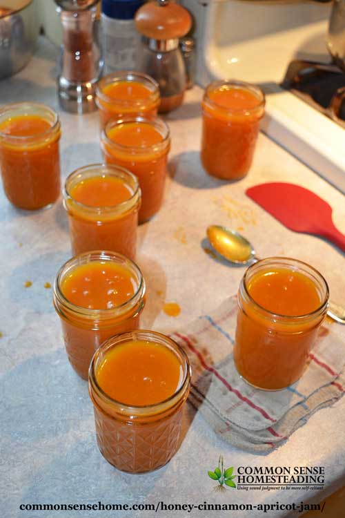 Honey-Cinnamon Apricot Jam is lightly sweetened with honey and flavored with a hint of cinnamon and citrus so you can taste the fruit, not the sugar.