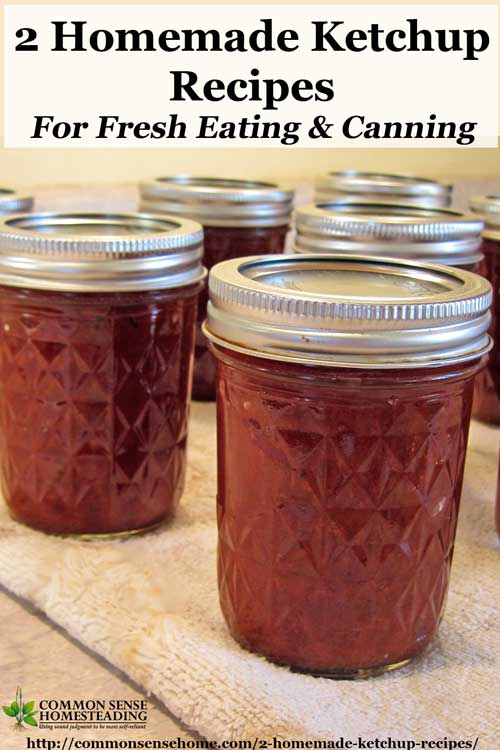2 Homemade Ketchup Recipes - Home Canned ketchup and Lacto-Fermented Catsup - use your garden or farmers market tomatoes to make ketchup at home.