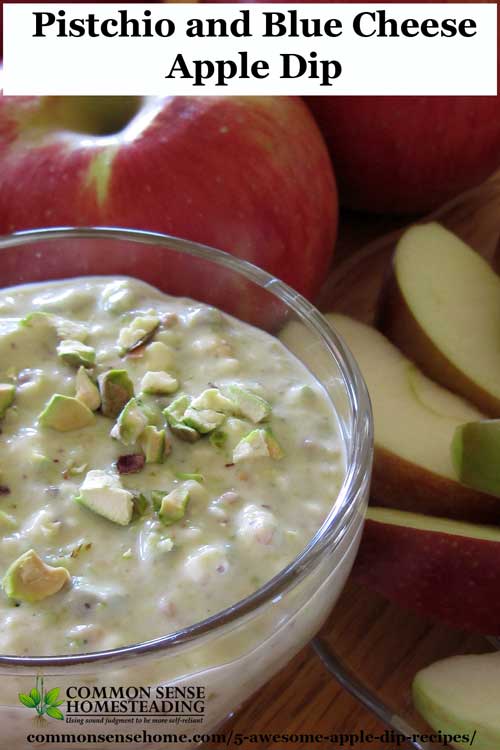 Easy to make homemade apple dip recipes. Homemade Caramel Apple Dip , Chocolate Almond, Maple Bacon, Walnut Ricotta Cream, and Pistachio and Blue Cheese.