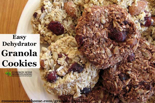 Easy No Bake Granola Cookies That You Make in the Dehydrator