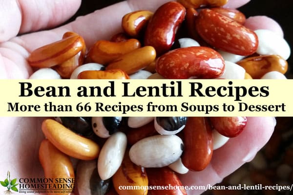 Bean and Lentil Recipes - Bean Desserts; Entrees; Side Dishes; Bean Chilis, Soups and Stews; Snacks, Dips and Appetizers with Beans, Bean Cooking Tips