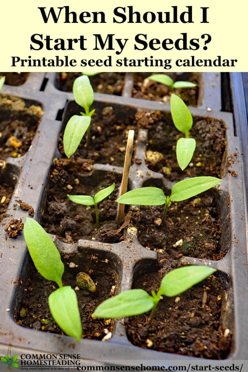 When should I start seeds? Seed starting tips with printable seed starting calendar. Covers indoor seeding, outdoor transplanting and outdoor seeding.