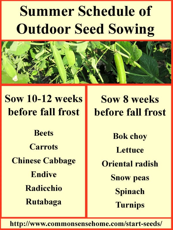 Summer Seed Sowing Chart