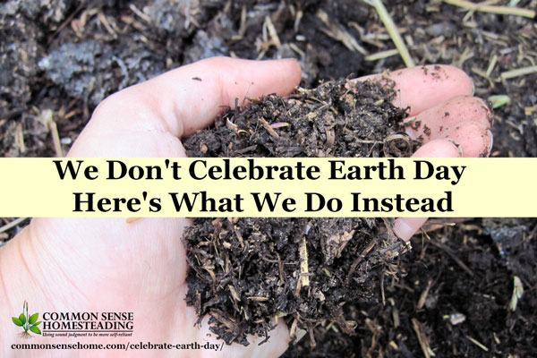 My family doesn't celebrate Earth Day, but we do our best to be good stewards every day. Small changes can save money and reduce your environmental impact.