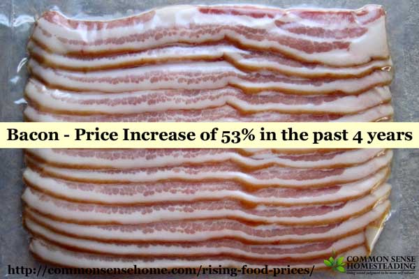 Rising Food Prices - 6 Proven Strategies to Stretch Your Food Budget - Plus Factors Involved in Rising Food Costs to Help You Plan for Price Increases