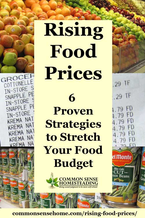 Rising Food Prices - 6 Proven Strategies to Stretch Your Food Budget - Plus Factors Involved in Rising Food Costs to Help You Plan for Price Increases