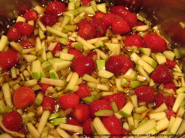 Rhuberry Spread - Naturally Sweetened Strawberry-Rhubard Spread Ingredients