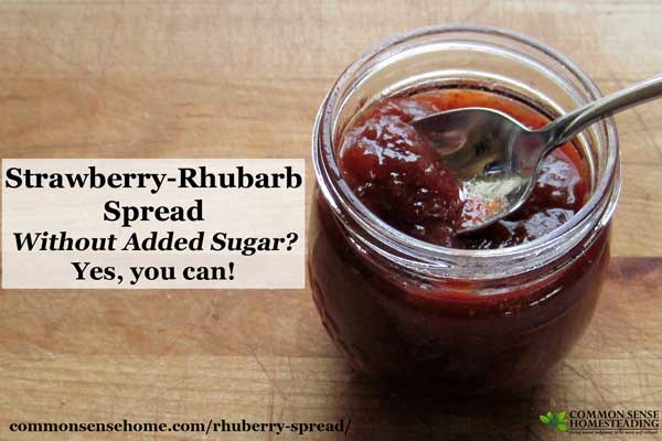 Delicious Rhuberry Spread - Just 4 ingredients - Sweetened with apple juice concentrate instead of sugar and thickened with natural apple pectin.