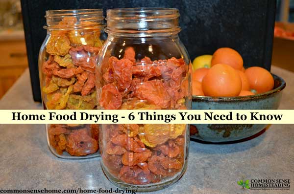 Learn home food drying basics with this quick guide to food dehydrators, plus tips for food drying and safe storage. Includes printable fruit drying guide.