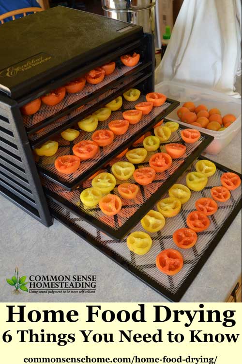 Learn home food drying basics with this quick guide to food dehydrators, plus tips for food drying and safe storage. Includes printable fruit drying guide.