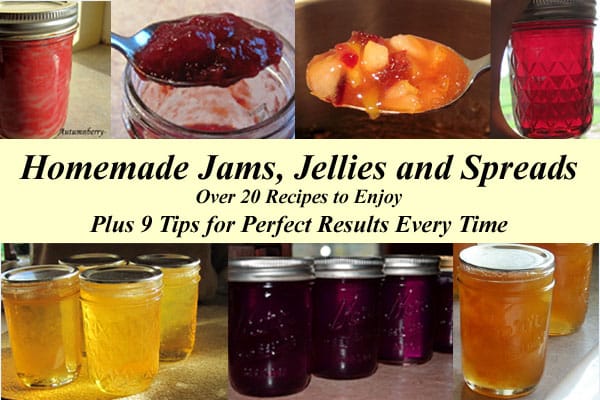 Homemade jams. jellies and spreads
